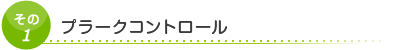 その1　プラークコントロール